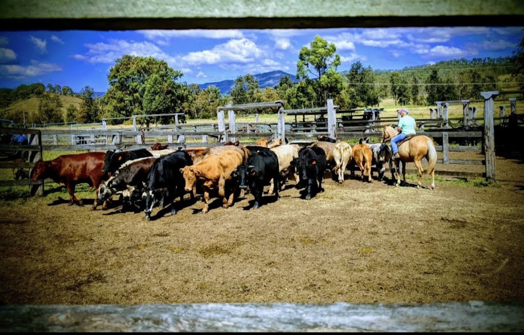 Ladybrook Farm | 2763 Kerry Rd, Darlington QLD 4285, Australia | Phone: 0409 267 039