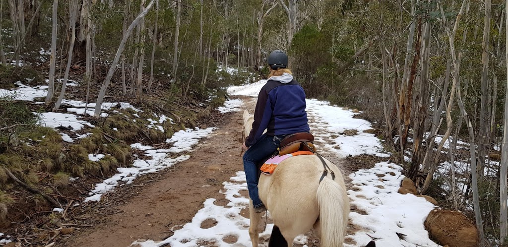 Thredbo Valley Horse Riding | tourist attraction | 2627/1056 Alpine Way, Crackenback NSW 2627, Australia | 0264562142 OR +61 2 6456 2142