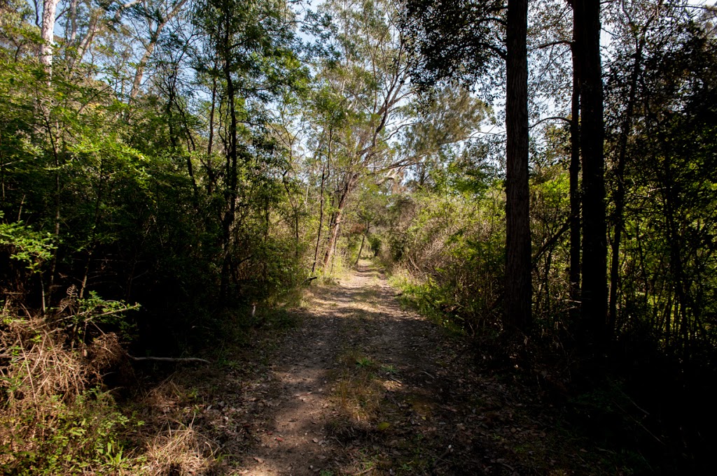 Blue Gum Creek Park | park | Chatswood West NSW 2067, Australia