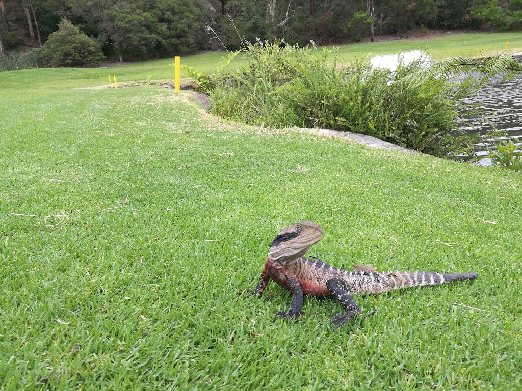 Wakehurst Golf Club | restaurant | Upper Clontarf St, Seaforth NSW 2092, Australia | 0299493188 OR +61 2 9949 3188