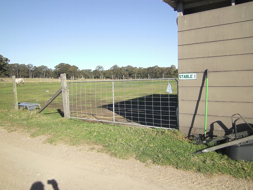 Lazy J Horse Agistment | D515 Princes Hwy, Comberton NSW 2540, Australia | Phone: 0415 404 202