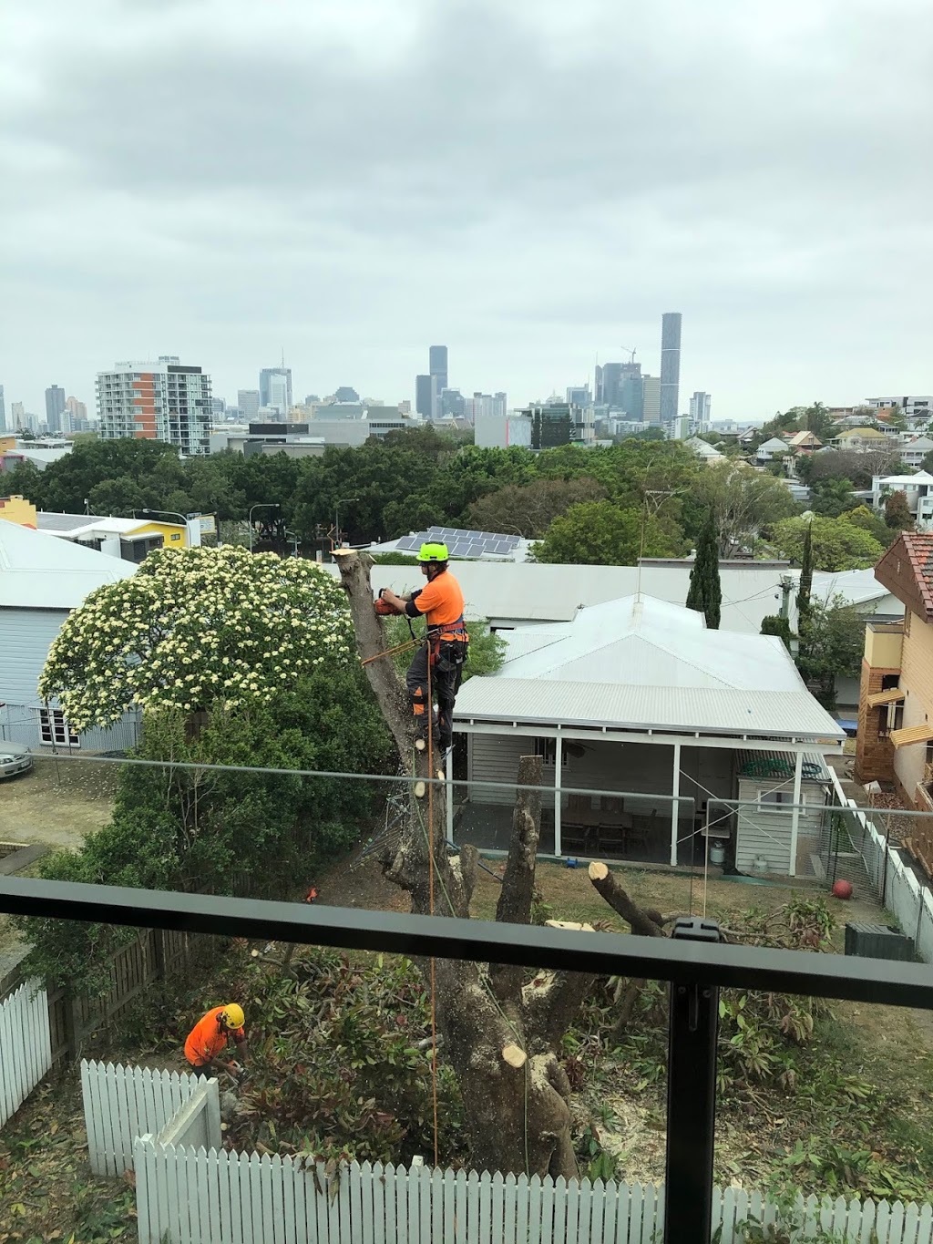 Colourful Tree Lopping & Stump Grinding | 44A Oyster Point Esplanade, Scarborough QLD 4020, Australia | Phone: 0418 988 966