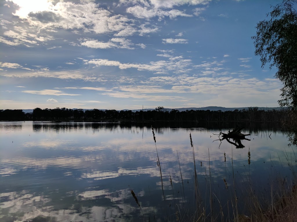 Duck Pond | Lake Mokoan Rd, Chesney Vale VIC 3725, Australia | Phone: (03) 5766 4462