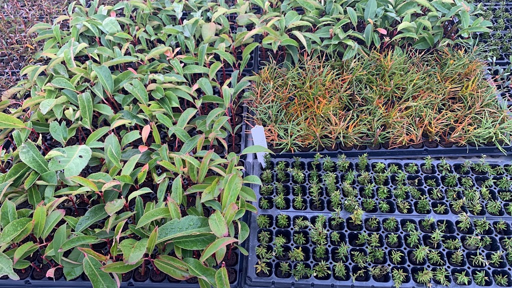 Propteq | 313 Pound Rd, Elliminyt VIC 3250, Australia | Phone: 0493 436 586 Propteq | 313 Pound Rd, Elliminyt VIC 3250, Australia | Phone: 0493 436 586