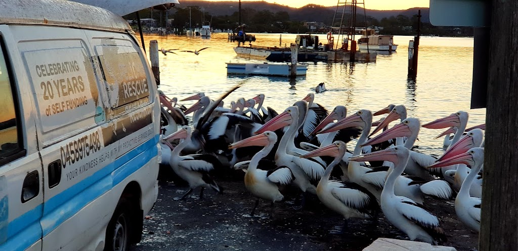 Blackwall Boat Ramp | Blackwall Rd, Blackwall NSW 2256, Australia | Phone: (02) 4306 7900
