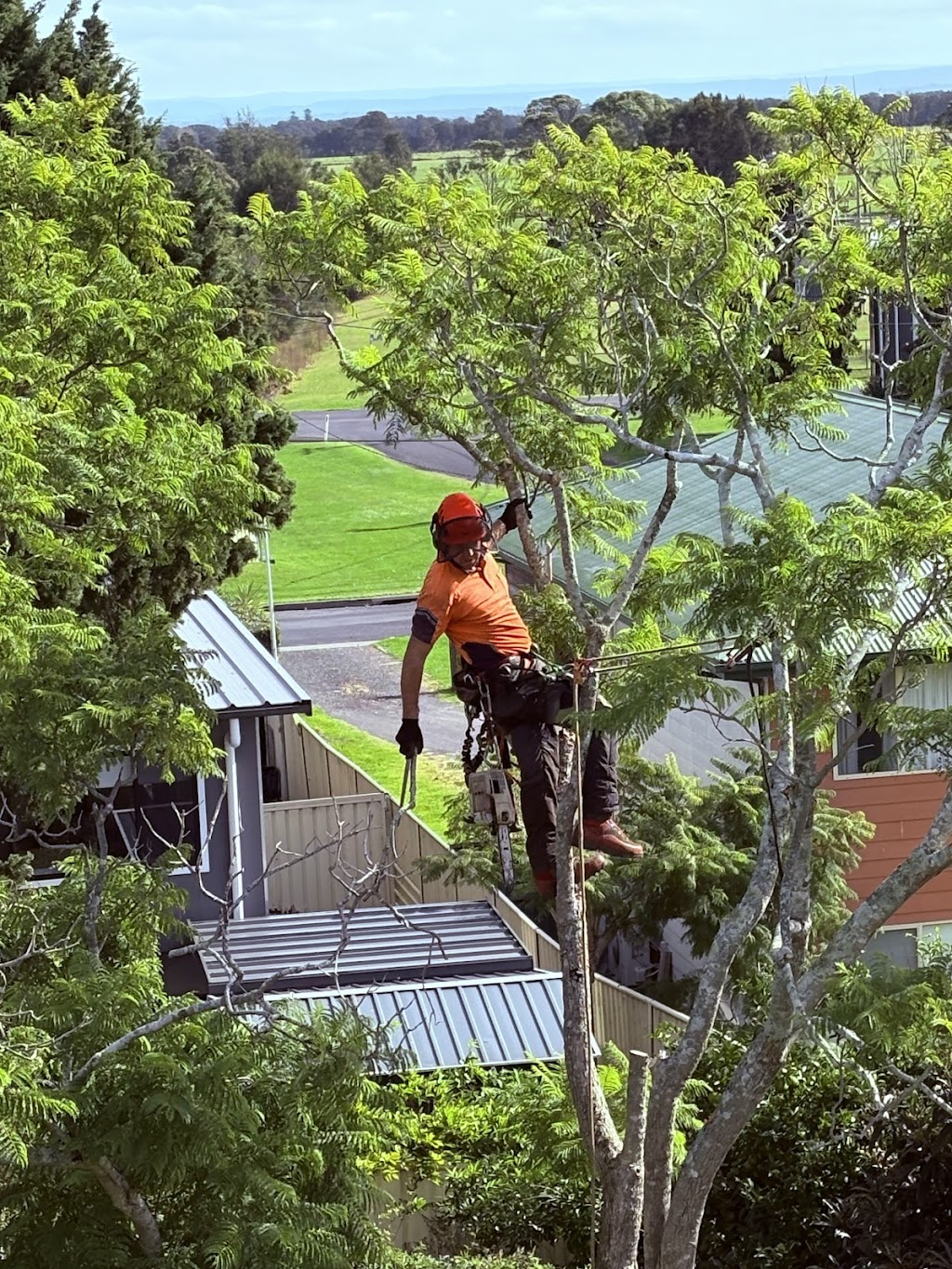 SAWWBONES ARBORICULTURE | 13 Aries Pl, Narrawallee NSW 2539, Australia | Phone: 0481 190 566