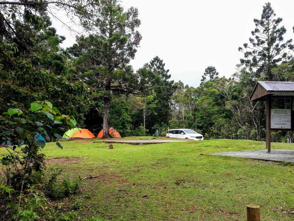 Green Mountain Campground | campground | LOT 496 Lamington National Park Rd, OReilly QLD 4211, Australia | 137468 OR +61 137468