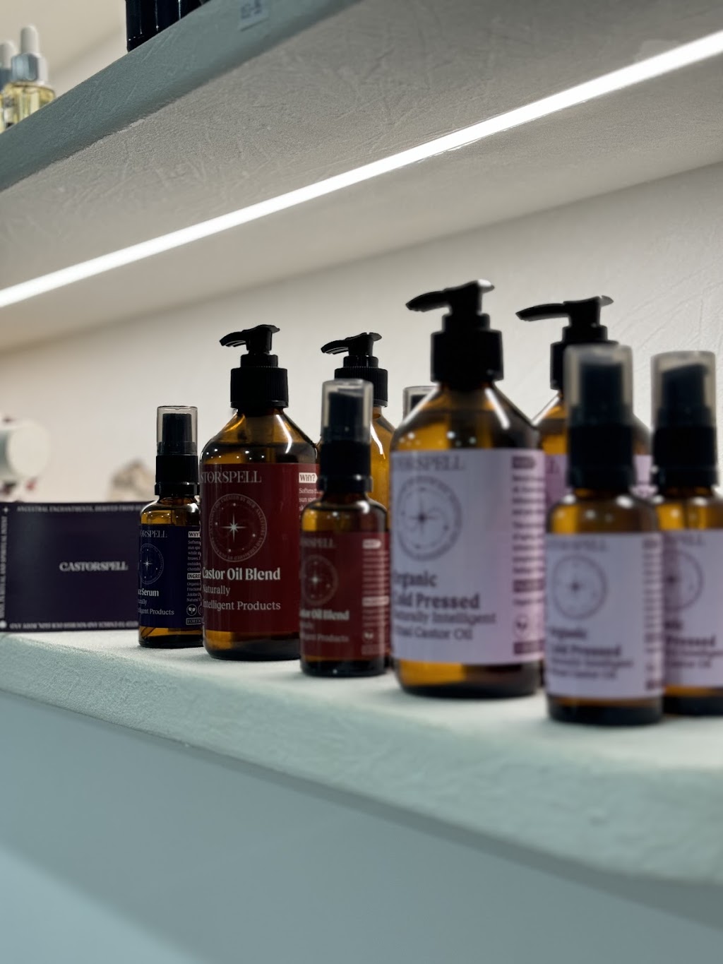 Castorspell | 57 Forresters Beach Rd, Forresters Beach NSW 2260, Australia | Phone: 0431 527 941