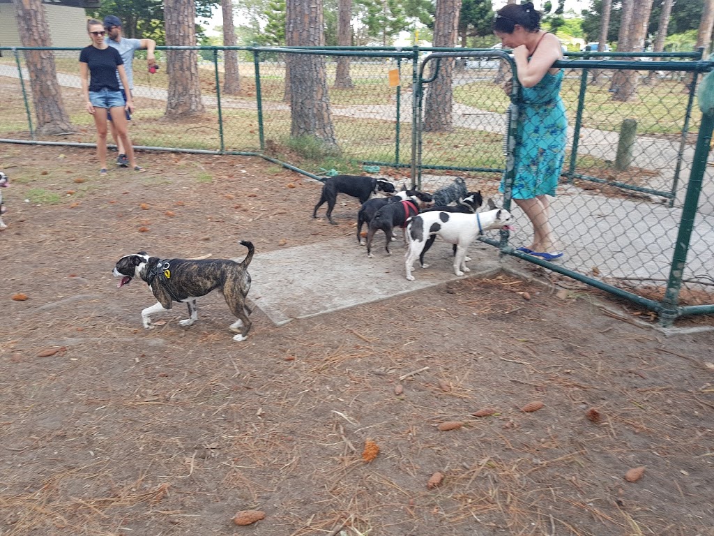 Pizzey Fenced Agility Dog Park | park | 24 Pizzey Dr, Mermaid Waters QLD 4218, Australia