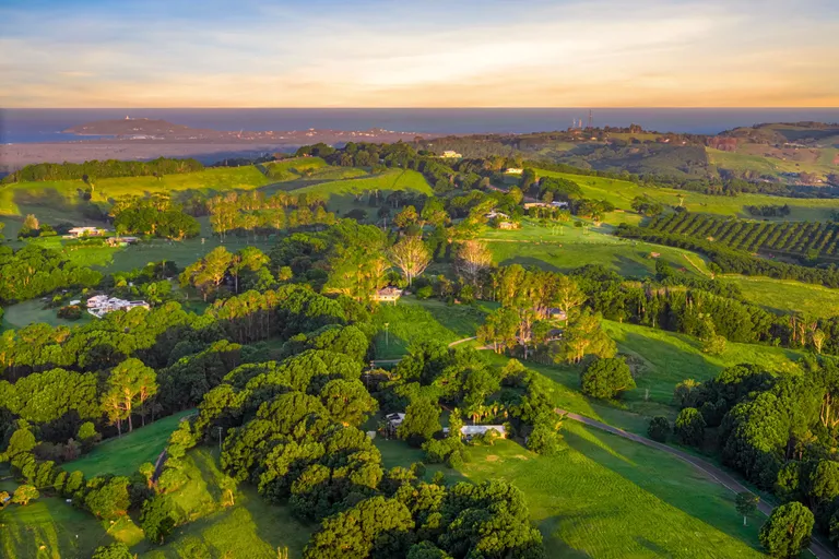 Tallowwood Agricultural Service | 198 Kanes Rd, Round Mountain NSW 2484, Australia | Phone: 0430 237 260