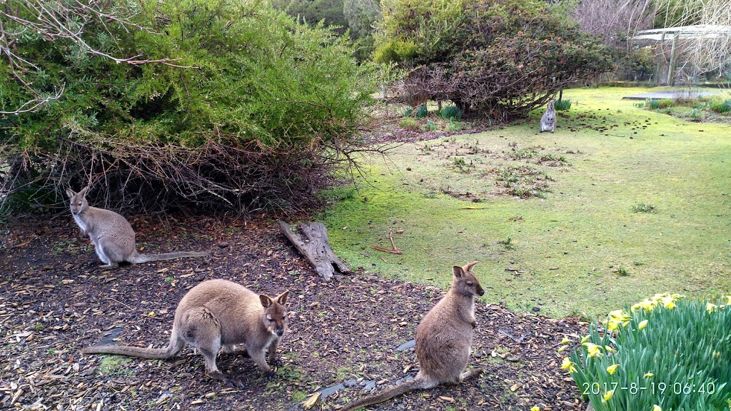 Parnella Adventure Bay | 51 Lockleys Rd, Adventure Bay TAS 7150, Australia | Phone: 0418 125 966