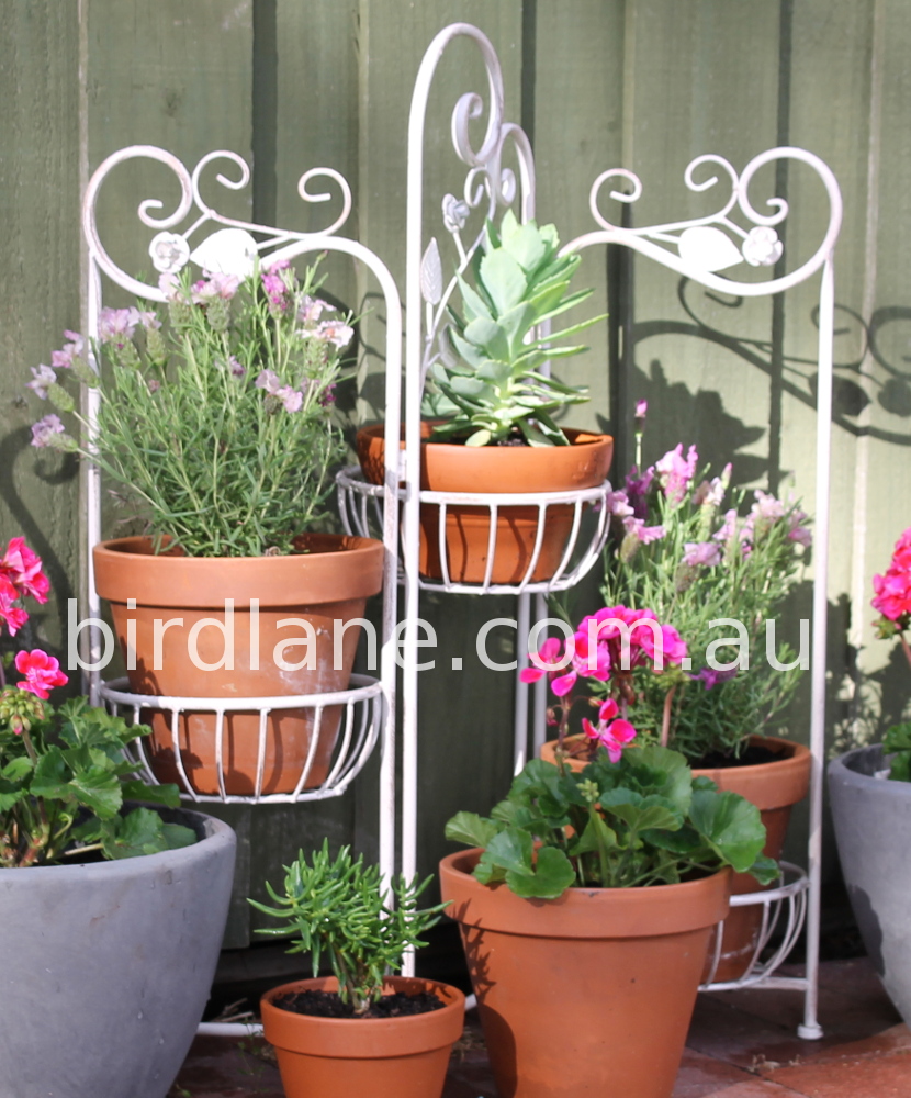 BirdLane | 21 Hanson St, Maddington WA 6109, Australia | Phone: 0439 472 232