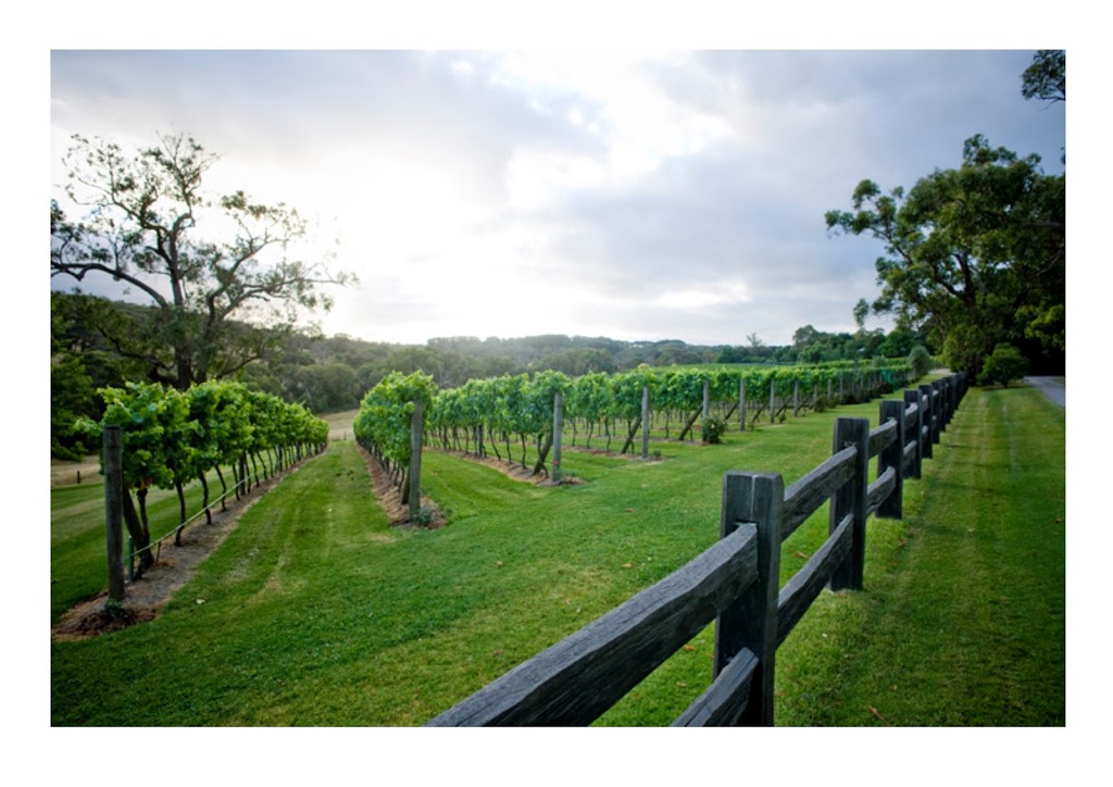 Mornington Peninsula Plunge Wine Tours |  | 16 Tower Hill Rd, Somers VIC 3927, Australia | 0438598997 OR +61 438 598 997