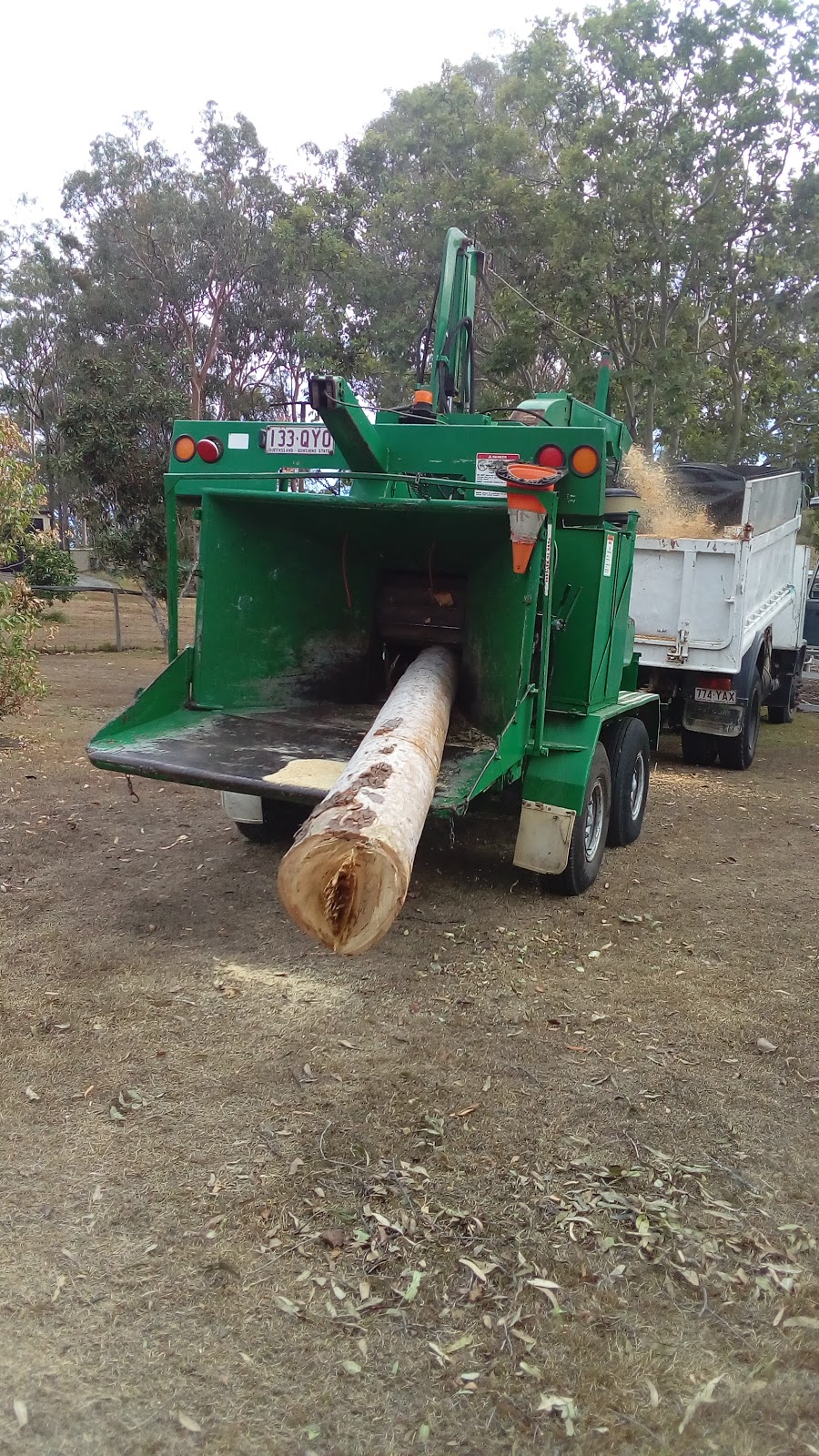 Tree Removals Gold Coast | general contractor | 459 Stapylton Jacobs Well Rd, Stapylton QLD 4207, Australia | 0428885979 OR +61 428 885 979