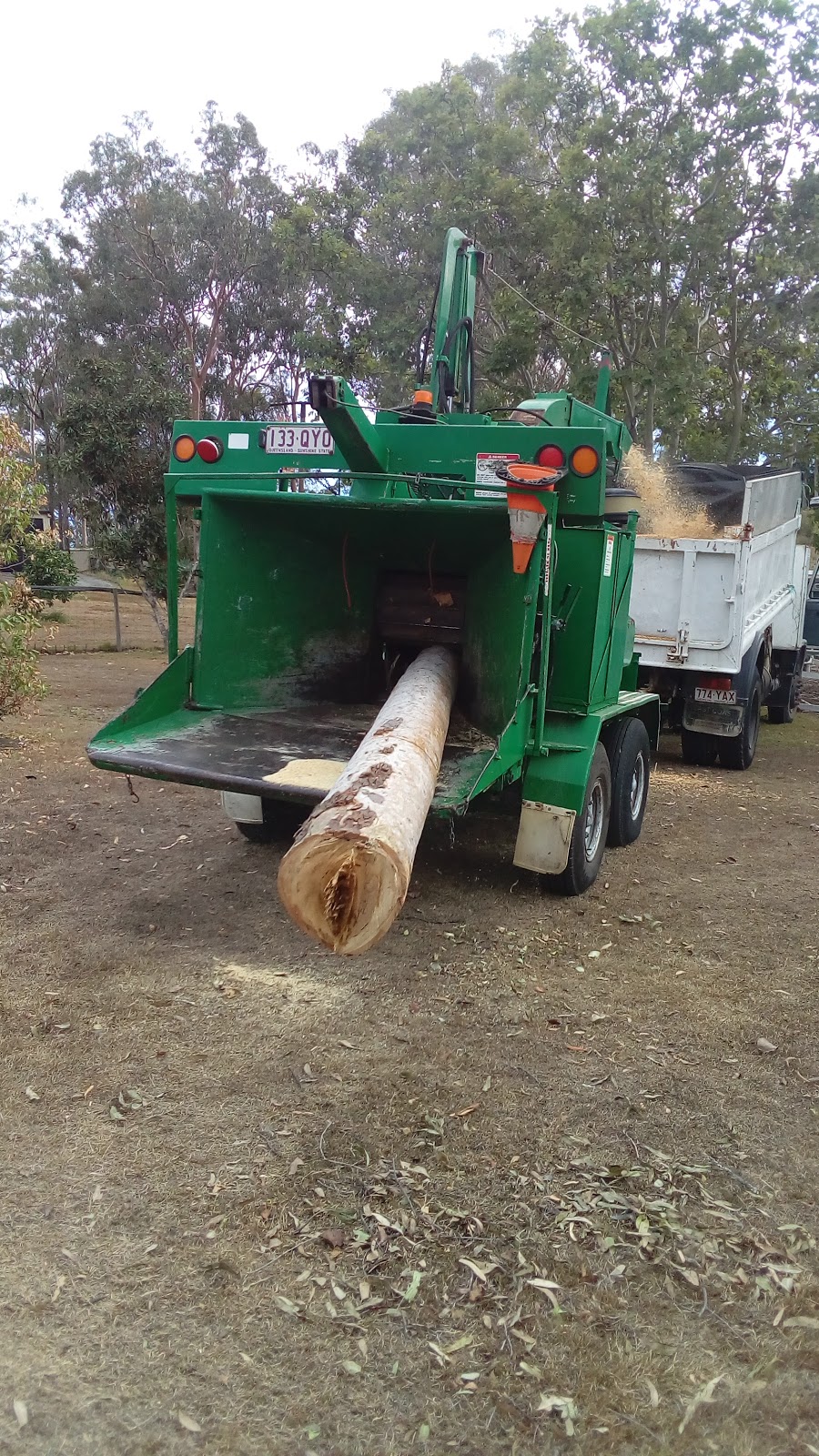 Tree Removals Gold Coast | 459 Stapylton Jacobs Well Rd, Stapylton QLD 4207, Australia | Phone: 0428 885 979