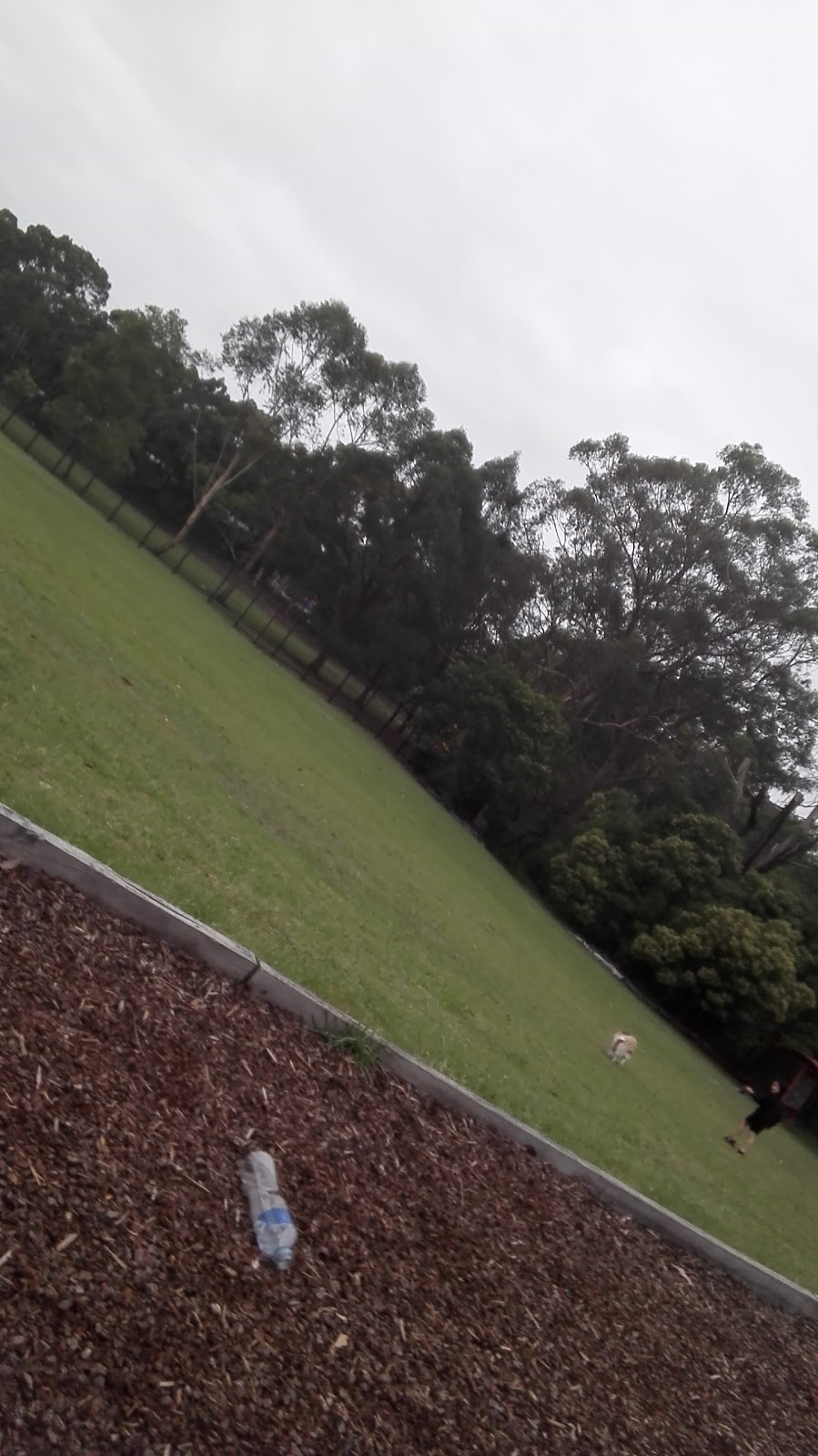 Carlingford Oval | park | 31 Karril Ave, Beecroft NSW 2119, Australia