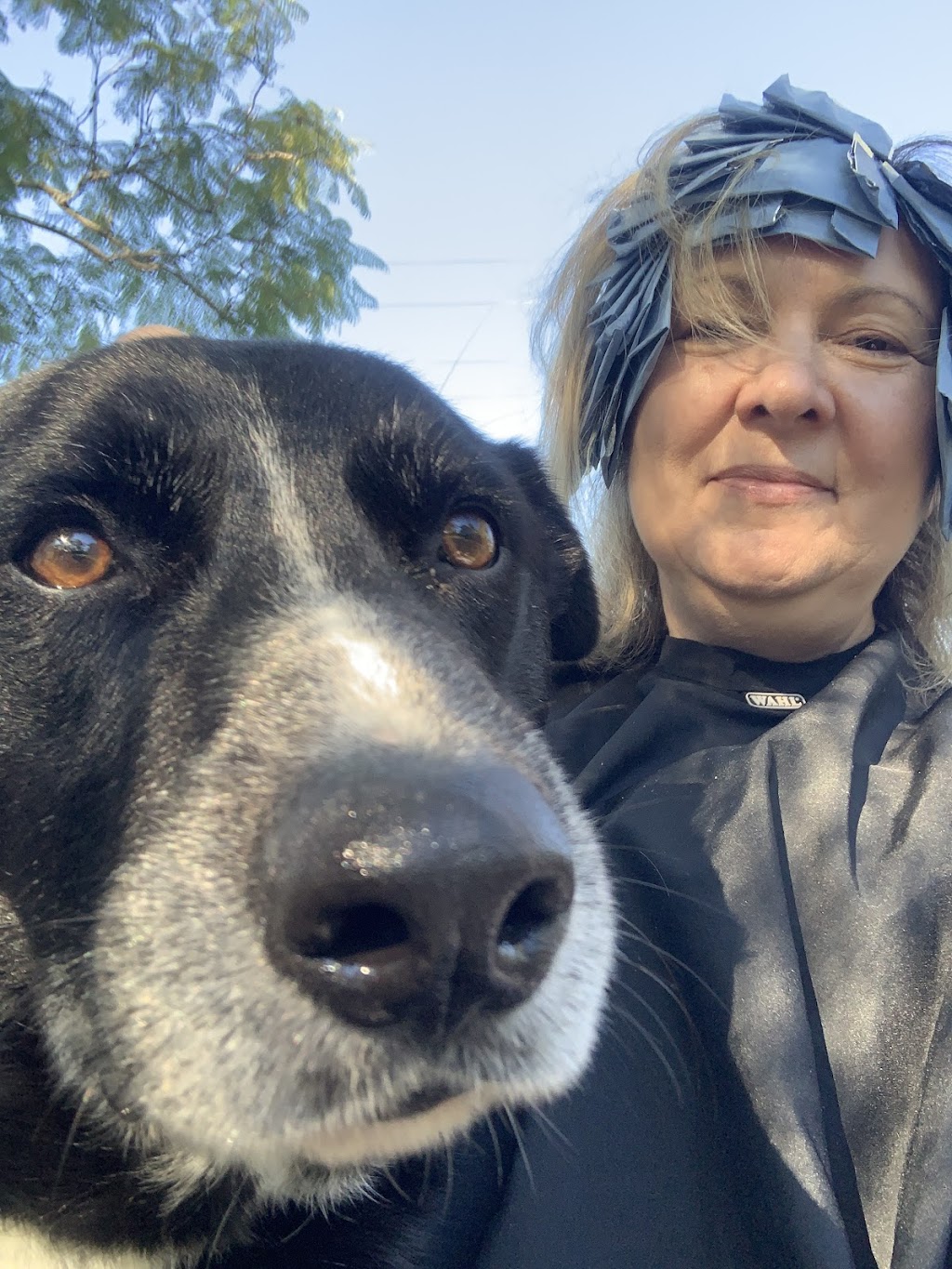 The Hair Workshop - Rachele | 1-3 Susan Ct, Cornubia QLD 4130, Australia | Phone: 0420 441 288