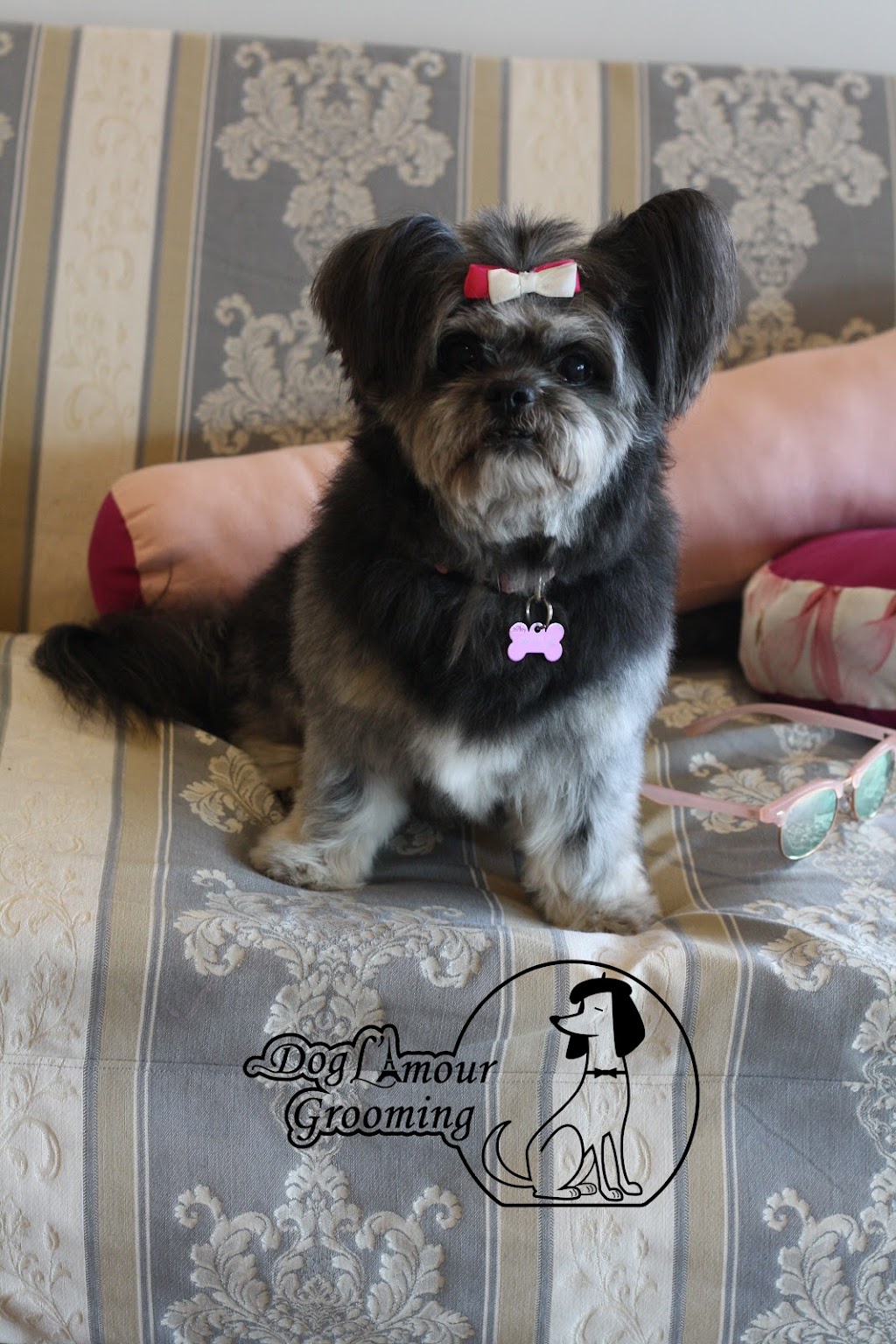 Dog L’amour Grooming | 43 Flinders St, Redbank Plains QLD 4301, Australia | Phone: 0460 588 303