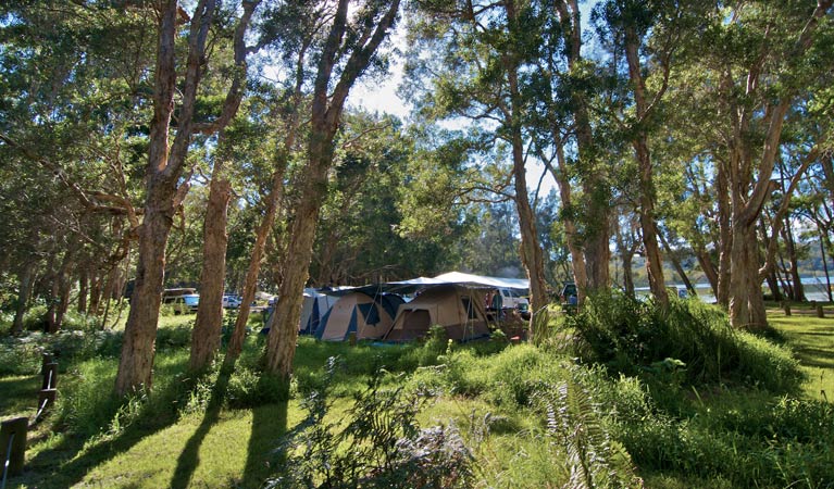 Neranie campground and picnic area | Neranie Rd, Bungwahl NSW 2423, Australia | Phone: (02) 6591 0300