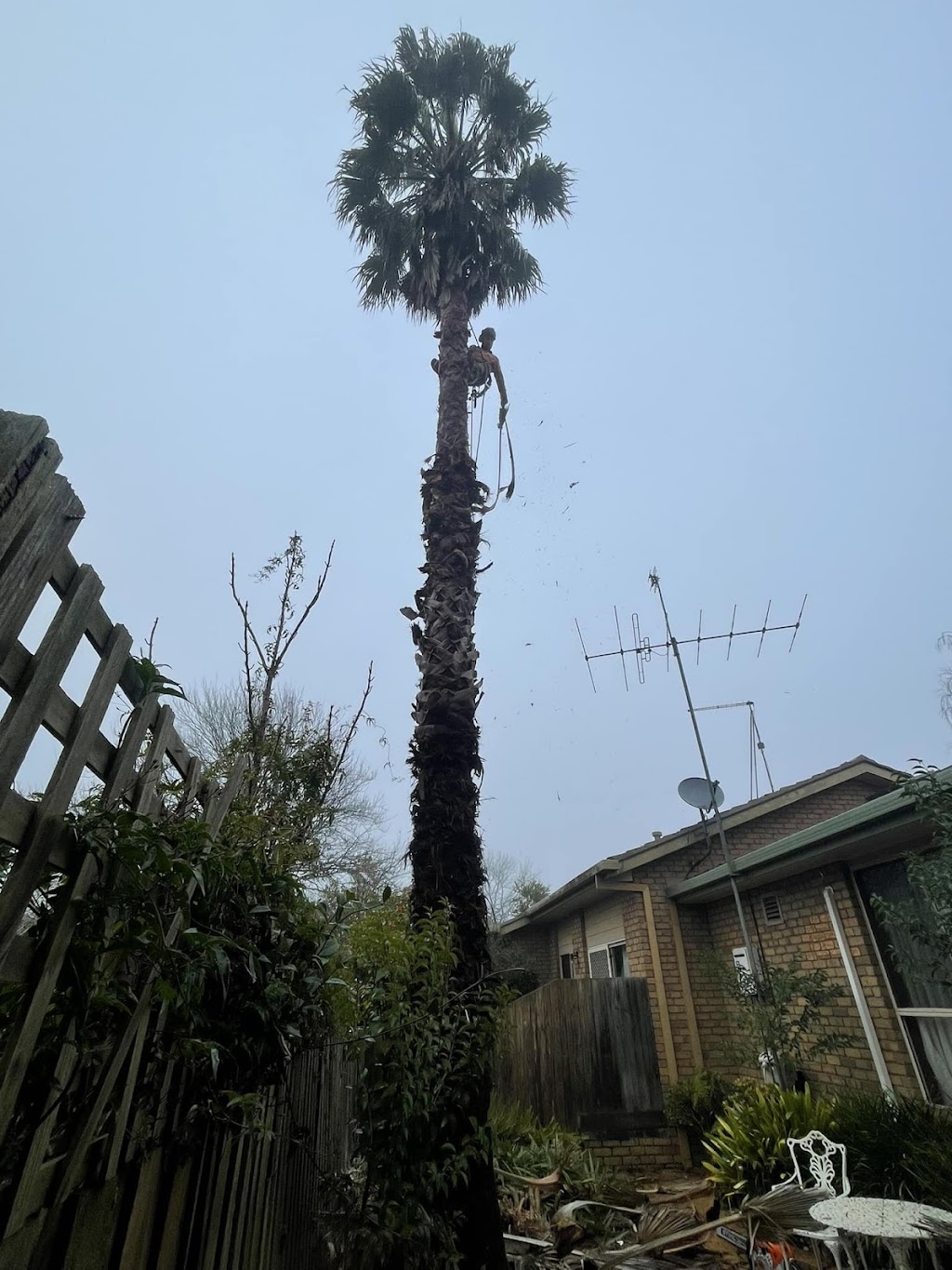 Pakenham tree services | Bate Cl, Pakenham VIC 3810, Australia | Phone: 0474 762 445