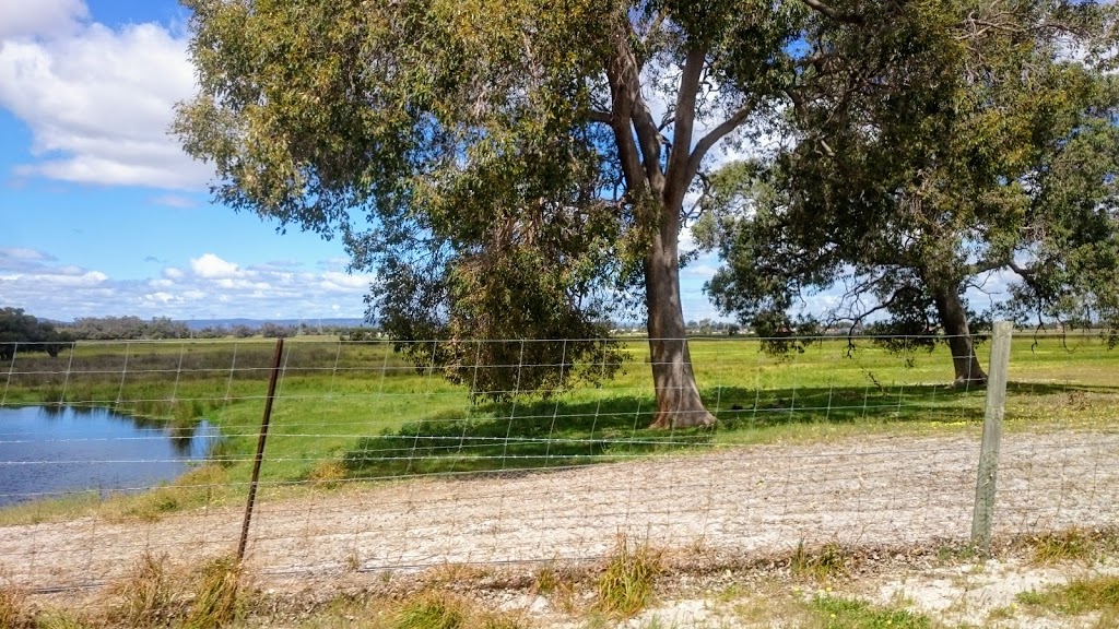 Whiteman Park | park | Lot 99a Lord St, Whiteman WA 6068, Australia | 0892096000 OR +61 8 9209 6000