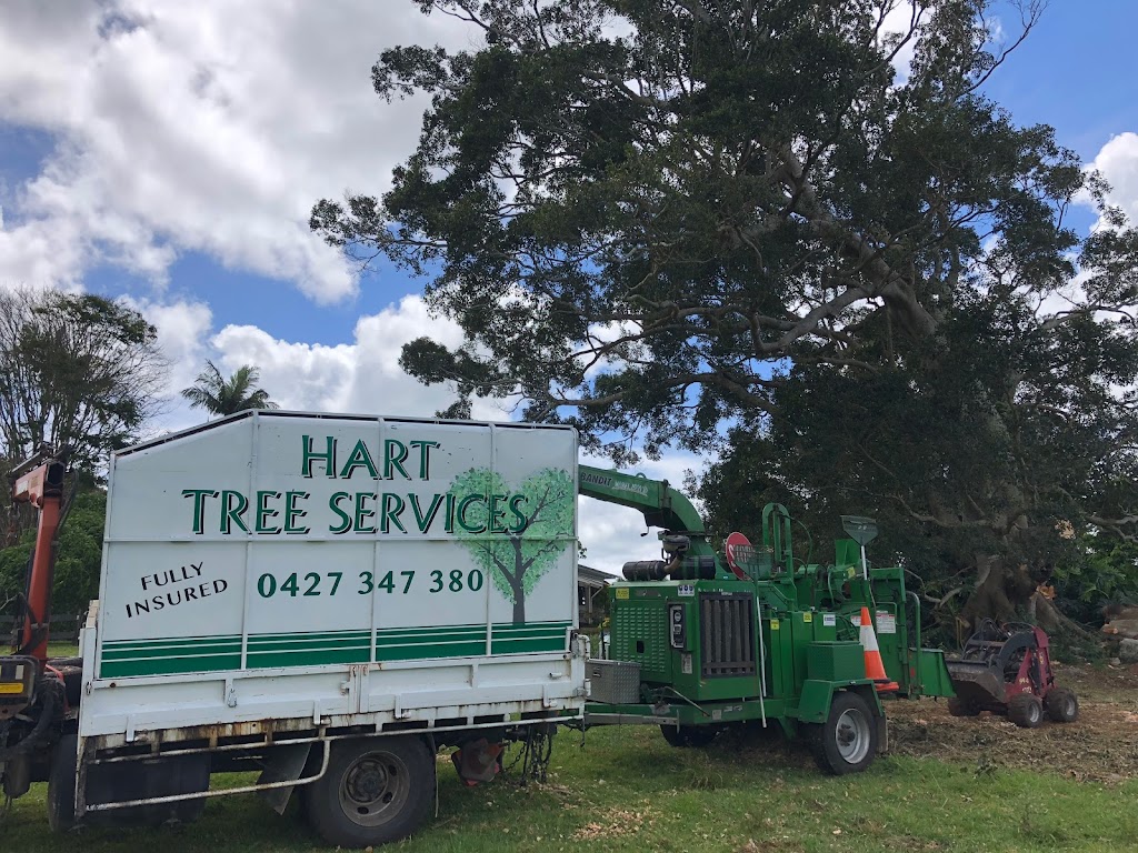 Hart Tree Services | 17 Golden Penda Pl, Mullumbimby NSW 2482, Australia | Phone: 0427 347 380