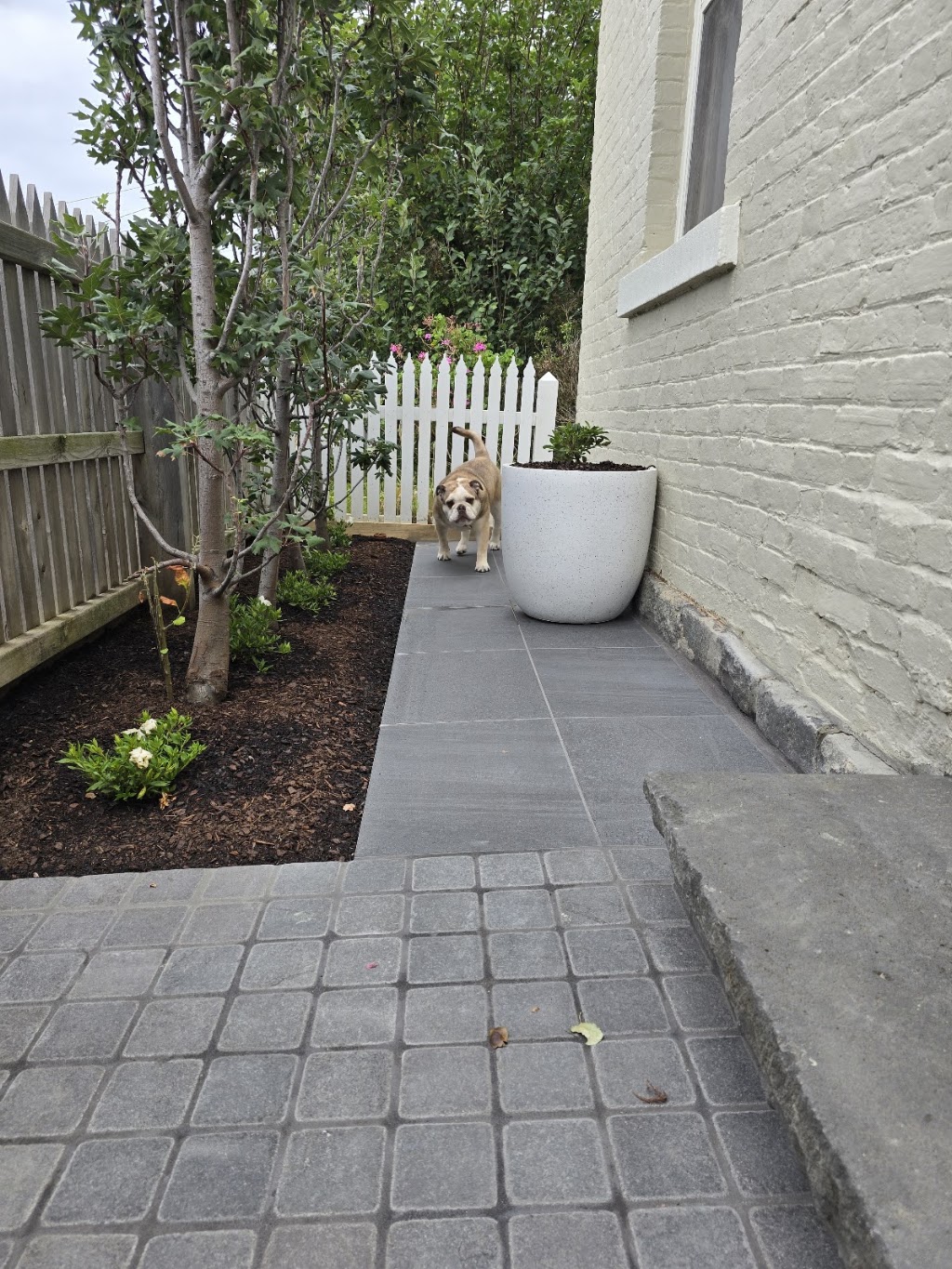 Outer Spaces Landscaping (Est. 2012) | 6 Whitten Ct, Highton VIC 3216, Australia | Phone: 0468 722 432