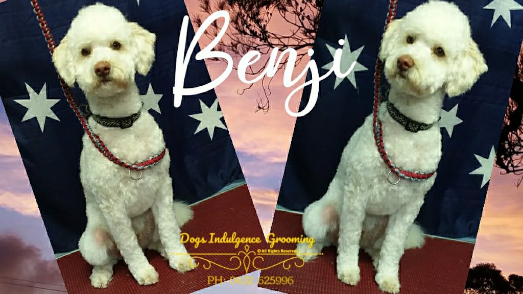 Dogs Indulgence Grooming salon | 72 Clarence Point Rd, Clarence Point TAS 7270, Australia | Phone: 0432 625 996