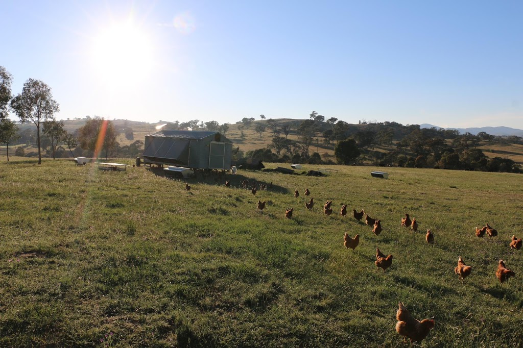 Amberly Eggs | food | 325 Kambah Pool Rd, Kambah ACT 2902, Australia | 0423056547 OR +61 423 056 547