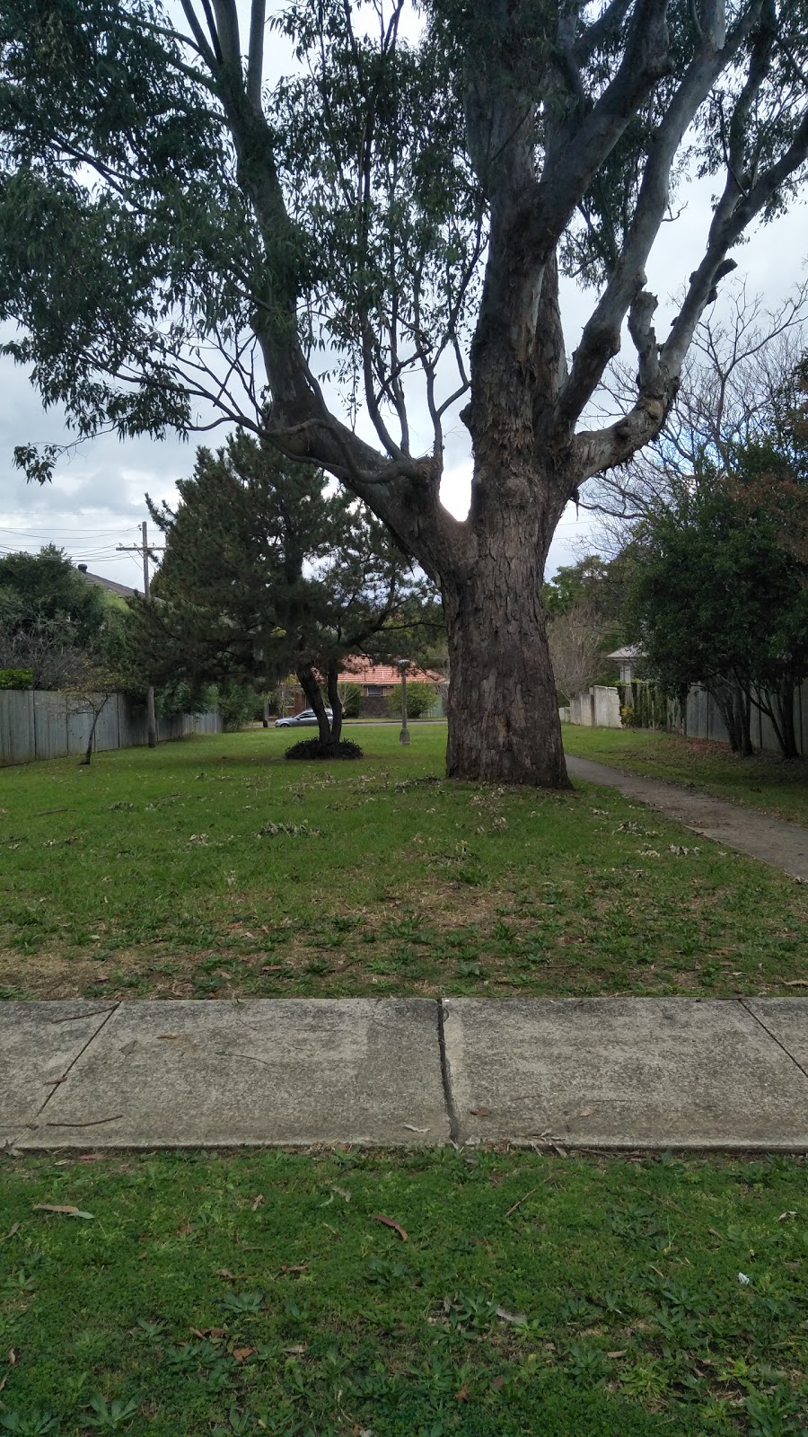 Cecil Park | park | 29A Richmond St, Denistone East NSW 2112, Australia