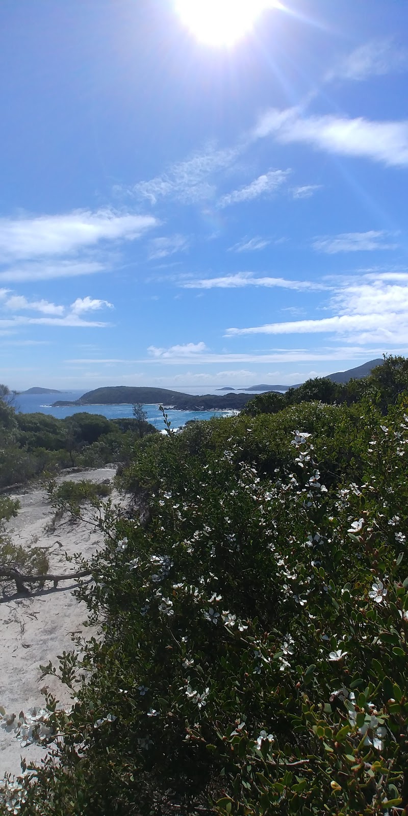 Tidal Overlook viewpoint 2 | museum | Tidal Overlook Circuit, Wilsons Promontory VIC 3960, Australia