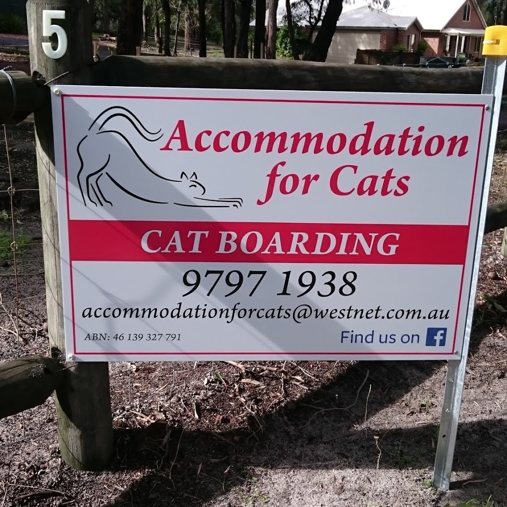 Accommodation for Cats | 5 Feast Pl, Leschenault WA 6233, Australia | Phone: (08) 9797 1938