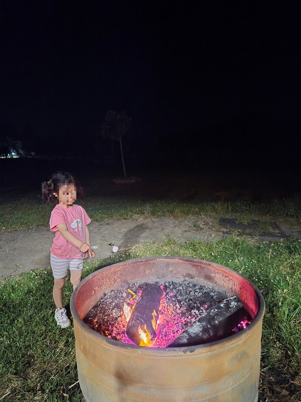 Mandalay Park Farmstay | 1269 Dooralong Rd, Dooralong NSW 2259, Australia | Phone: 0425 131 496