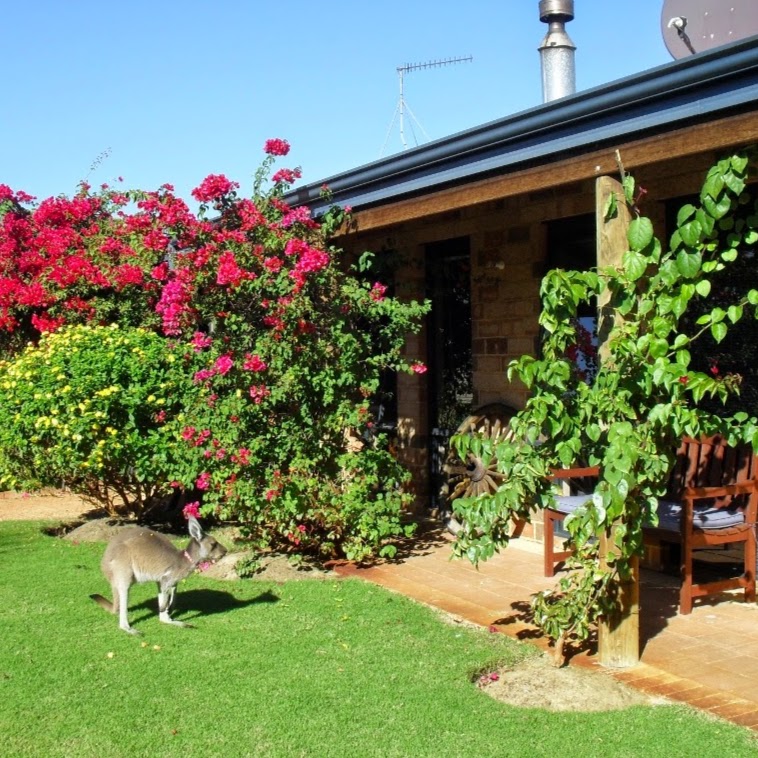 Woollybush Guest House | lodging | 205 Woolly Bush Loop, Woodridge WA 6041, Australia | 0895771909 OR +61 8 9577 1909
