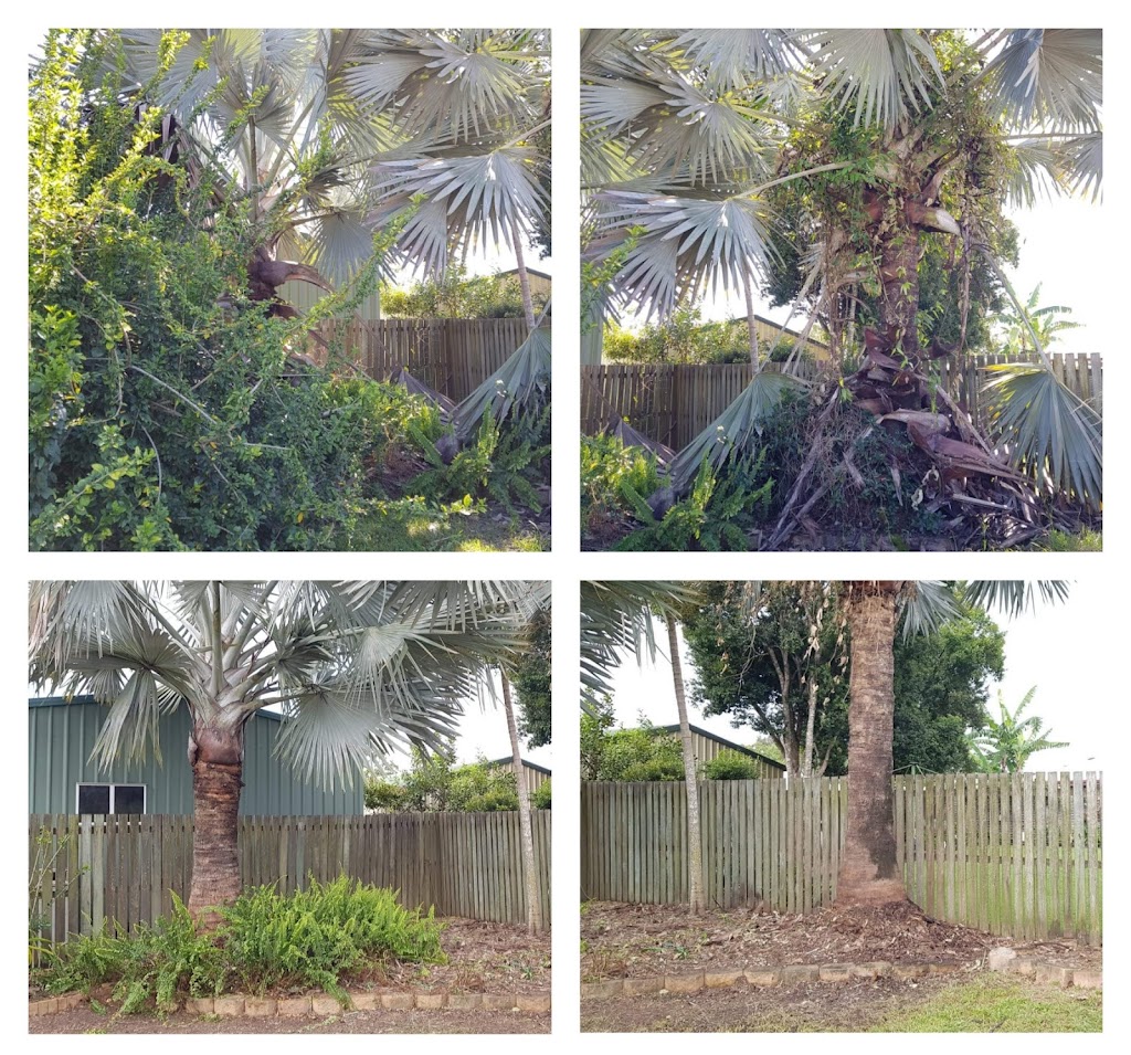 M & T Green Waste Removal | general contractor | 58 Guava St, Maryborough QLD 4650, Australia | 0437493222 OR +61 437 493 222