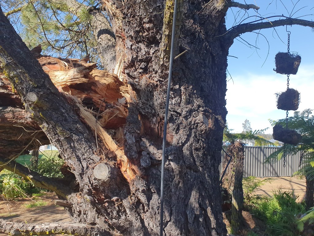 Ezi Cut Tree Services | Four Winds, 190 Bowral St, Bowral NSW 2576, Australia | Phone: 0411 891 146