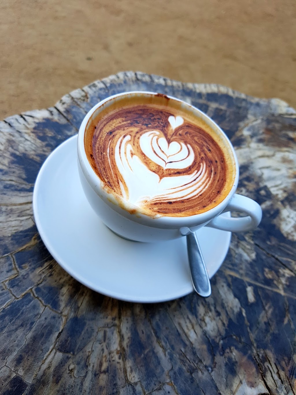 The Tiller Coffee | store | 81 Mina Parade, Alderley QLD 4051, Australia