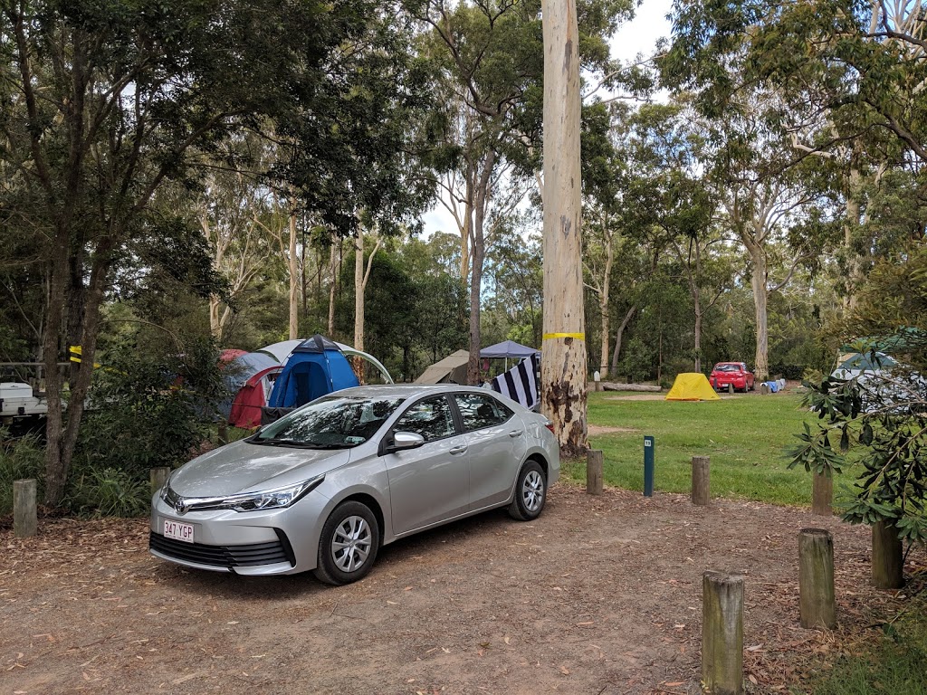 Coochin Creek camping area, Beerwah State Forest | Roys Rd, Coochin Creek QLD 4519, Australia