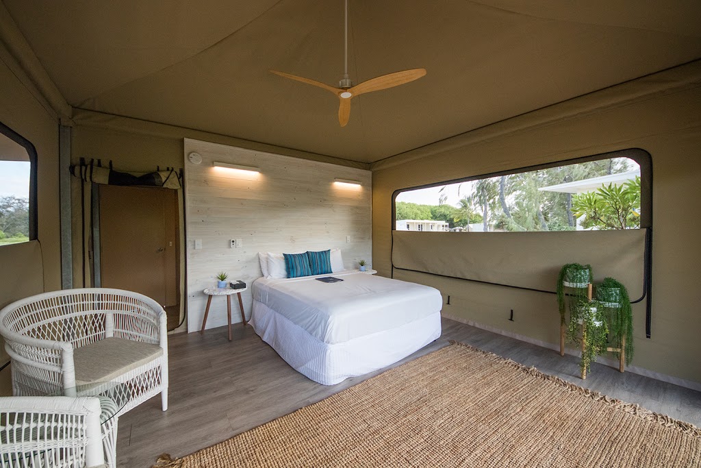 Lady Elliot Island Eco Resort | lodging | Reception Lady Elliot Island, QLD 4805, Australia | 0755363644 OR +61 7 5536 3644
