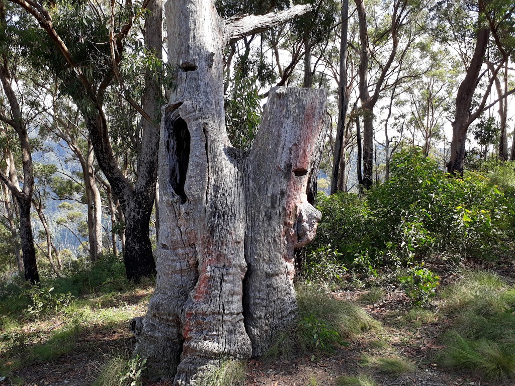 Raspberry Lookout | Gwydir Hwy, Gibraltar Range NSW 2370, Australia | Phone: (02) 9995 6500