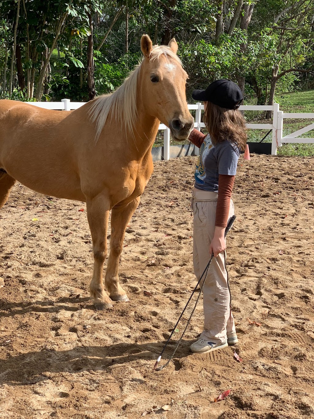 Equine Connect | travel agency | 8 Andersen Rd, Mooloolah Valley QLD 4553, Australia | 0478661826 OR +61 478 661 826