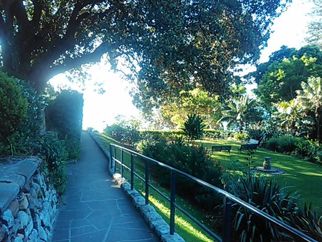 Blackburn Gardens | park | New South Head Road, Double Bay NSW 2028, Australia | 0293917000 OR +61 2 9391 7000