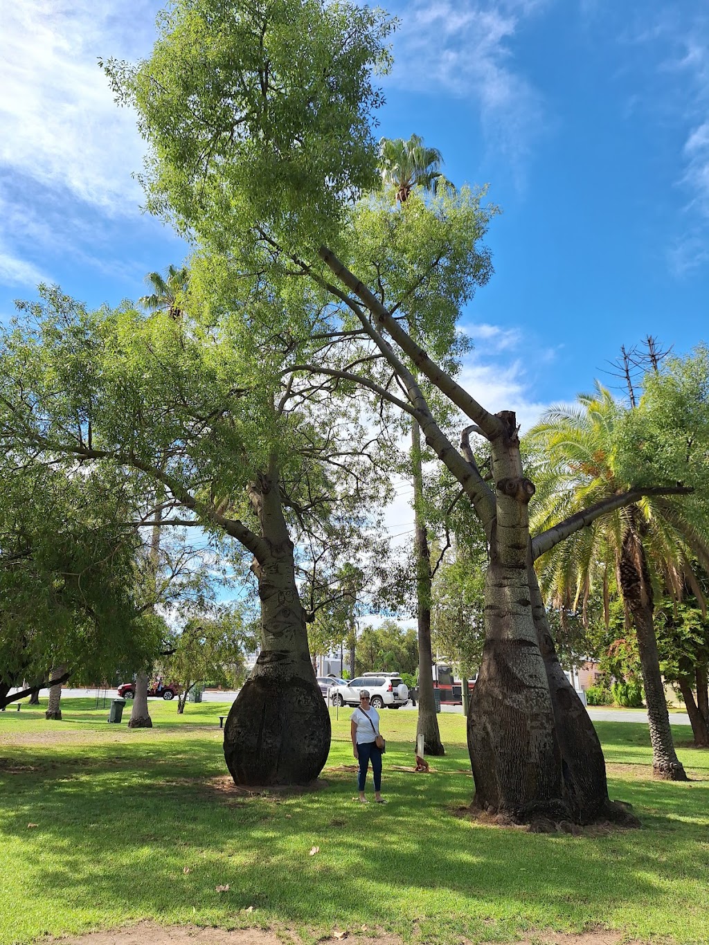 Narrandera Destination and Discovery Hub | 24 Cadell St, Narrandera NSW 2700, Australia | Phone: (02) 6959 5545
