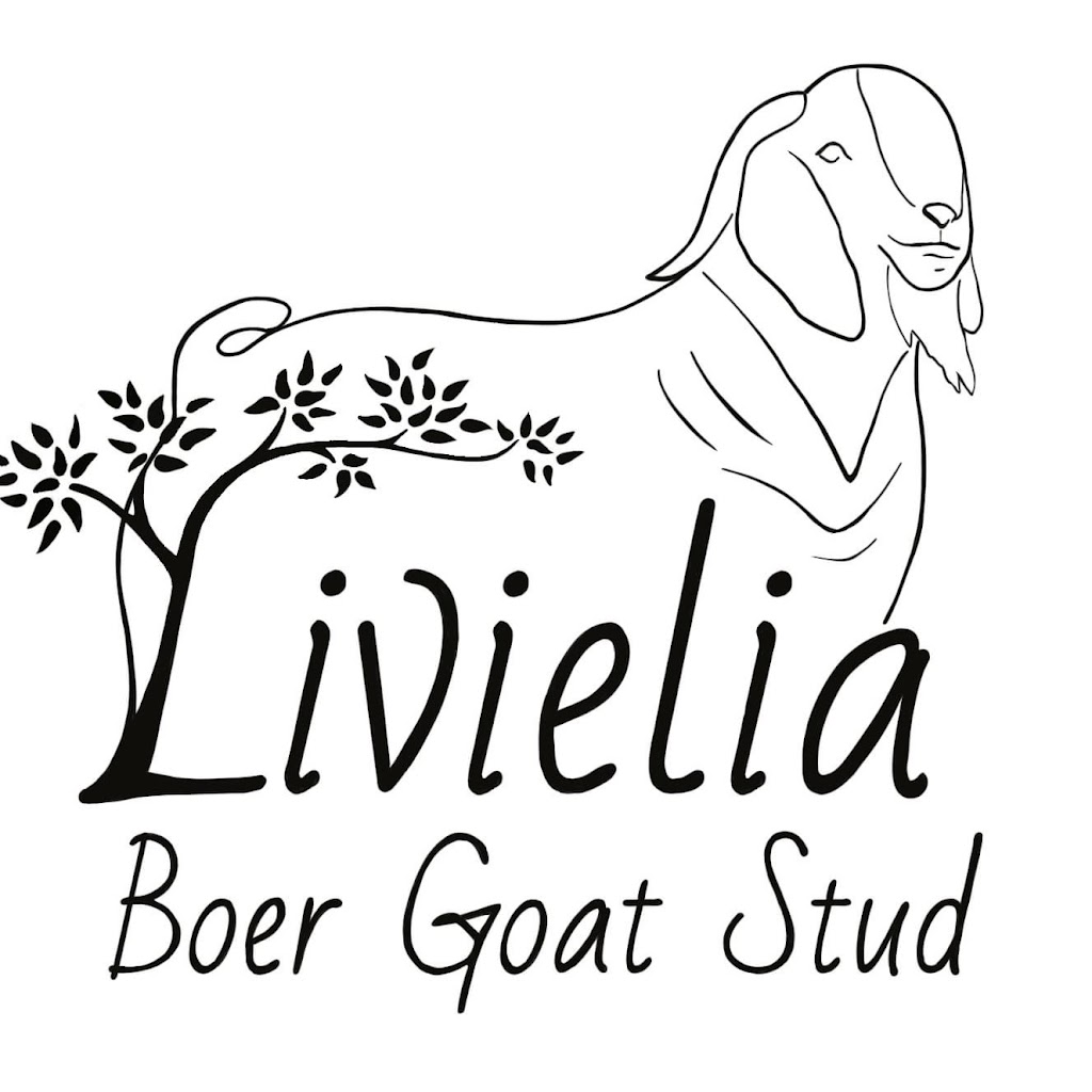 Livielia Boers Goat Stud |  | 1800 Noosa Rd, Traveston QLD 4570, Australia | 0407713202 OR +61 407 713 202