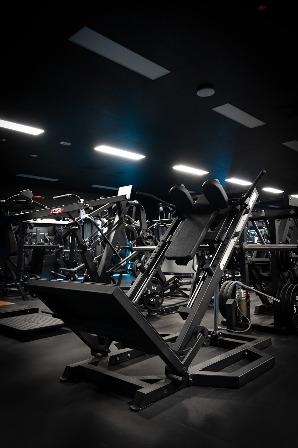 Forged Fitness Studio | Upper Level car park, Shop 18/10 Shuter Ave, Thurgoona NSW 2640, Australia | Phone: (02) 6055 2872