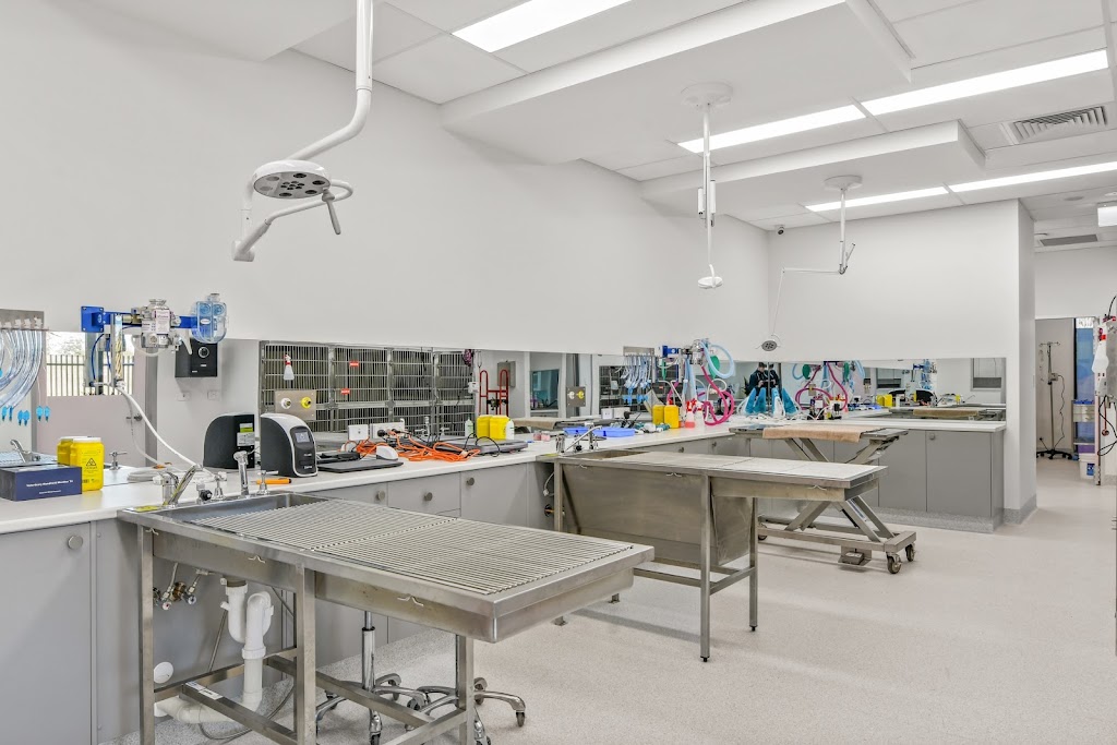 Sovereign Vet Hospital | 16 Chancellors Dr, Thrumster NSW 2444, Australia | Phone: (02) 5564 1288