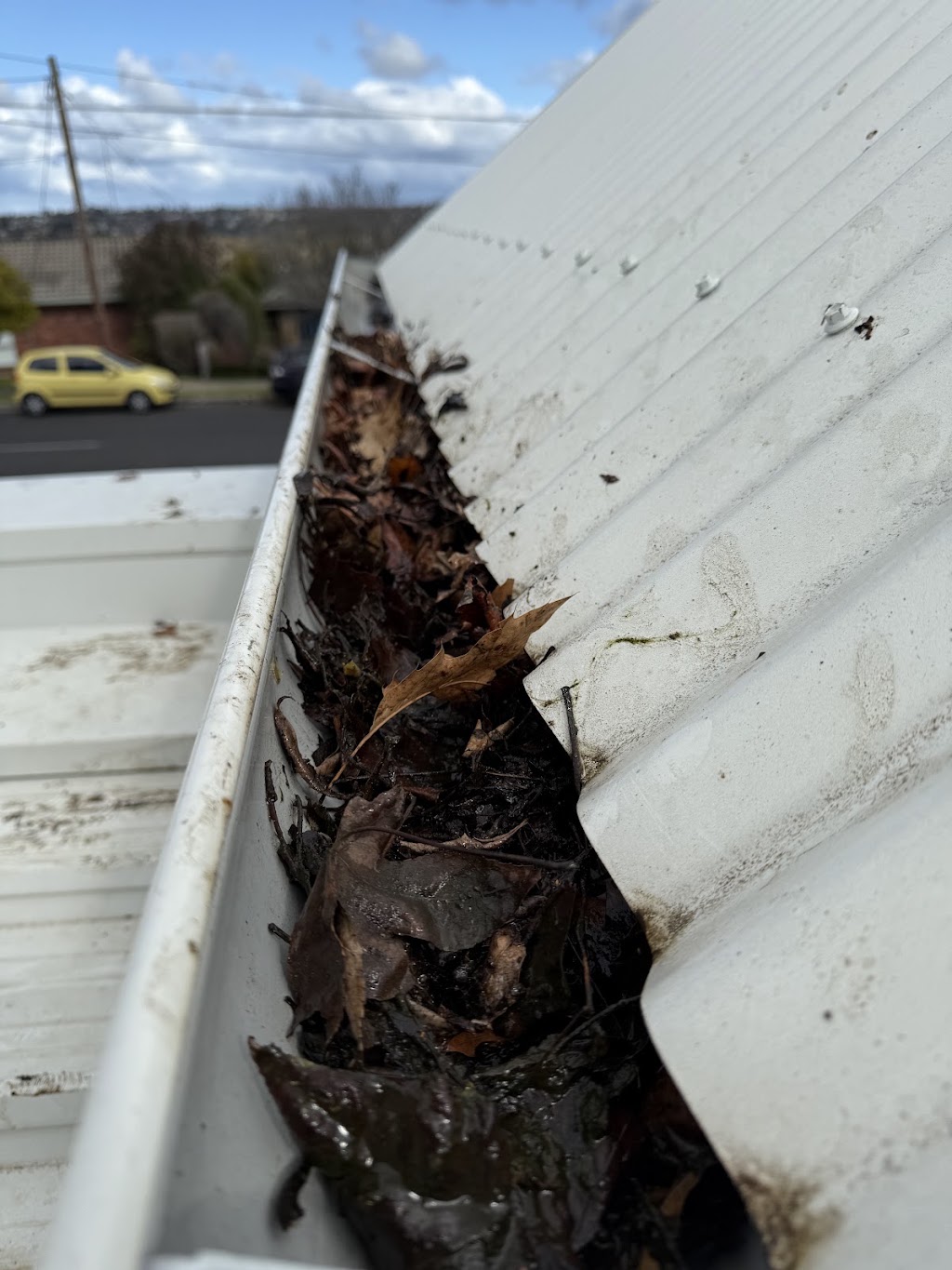 Geelong Local Roof & Gutter Cleaning | 56 Fogarty Ave, Highton VIC 3216, Australia | Phone: 0435 322 038