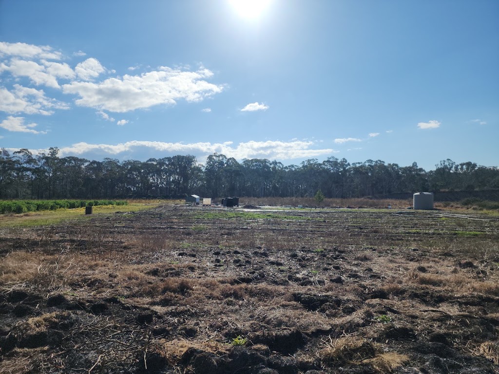 Greenleaves farm | 77-81 Taylor Rd, Cranebrook NSW 2749, Australia | Phone: 0478 785 966