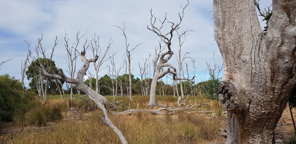 Braeside Park, Wetlands Viewing Platform | Braeside VIC 3195, Australia | Phone: 13 19 63