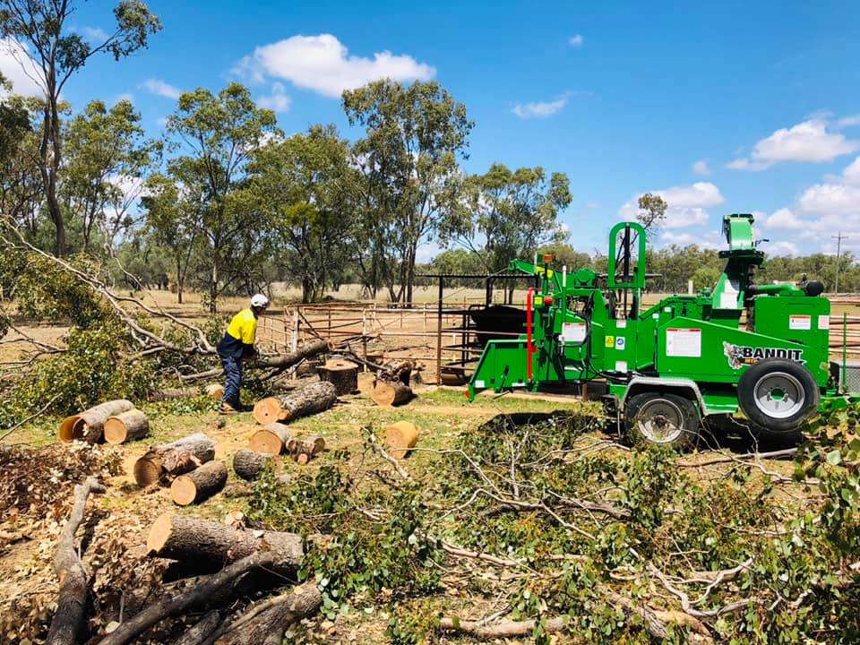 Cut Above Tree Care | 2 Queen St, Roma QLD 4455, Australia | Phone: 0412 303 650